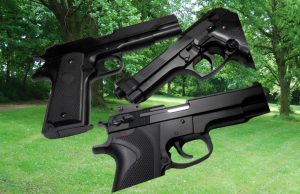 Un Juez decidirá si se pueden llevar armas a los parques estatales de Connecticut para defensa propia