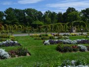 El Elizabeth Park se despedirá de varios arboles este verano. Una inspección determinó que son un riesgo para la seguridad pública