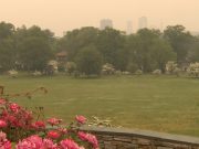 El humo de los incendios forestales de Canadá tiene afectada la calidad del aire en todo el estado