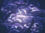 Segundo residente de CT muerto por bacterias carnívoras