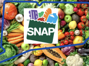 DSS y el Departamento de Educación de CT anunciaron la distribución de SNAP a más de 209,800 familias