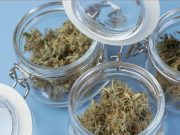 Récord de ventas en el mercado de Cannabis de Connecticut en Agosto: Casi $25 Millones en transacciones