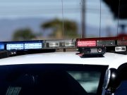 Fallece canino de Massachusetts por presunta estafa de adiestramiento en CT