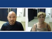 100 arrestados tras operativo contra apuestas ilegales y peleas de gallos en Tolland