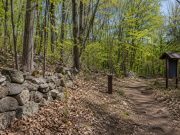 Gran parte de Connecticut sigue bajo alto riesgo de incendios forestales por condiciones secas