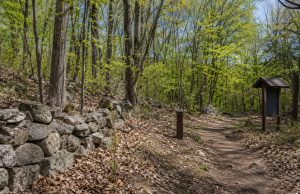 Gran parte de Connecticut sigue bajo alto riesgo de incendios forestales por condiciones secas