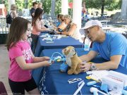 Festival de Ositos de Peluche regresa al Beardsley Zoo con clínica infantil y actividades familiares