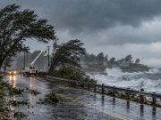 Tormenta amenaza a Connecticut este fin de semana con fuertes vientos, lluvia y posibles apagones