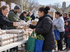 Connecticut comienza a distribuir 1.5 millones de huevos gratis tras acuerdo por manipulación de precios